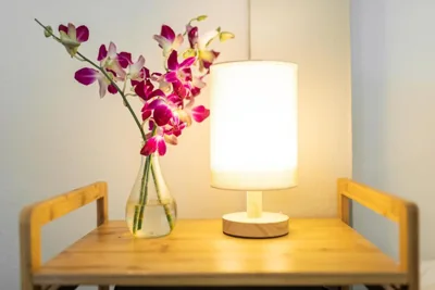 Garden Home 2 – 照片 12